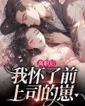 离职后,我怀了前上司的崽