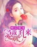 婚后强宠:总裁别乱来