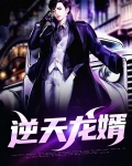 逆天龙婿