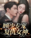 顾少专宠复仇女神